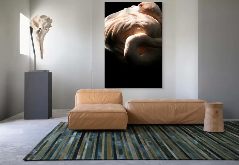 Tablou Canvas, "Flamingo în lumina blândă a soarelui", Flamingo, Eleganță, Lumină, Textură, Contrast, Încovoiat, Grație, Serenitate, 100 x 150 cm – poza 7