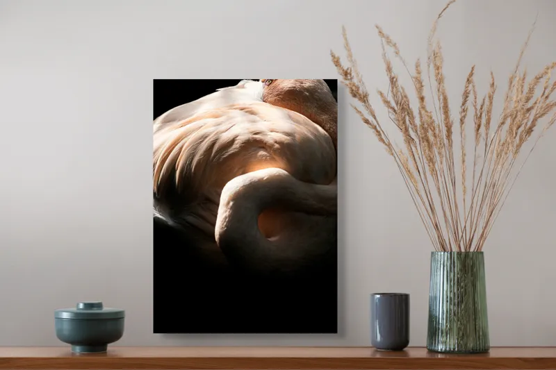 Tablou Canvas, "Flamingo în lumina blândă a soarelui", Flamingo, Eleganță, Lumină, Textură, Contrast, Încovoiat, Grație, Serenitate, 39 x 54 cm – poza 3