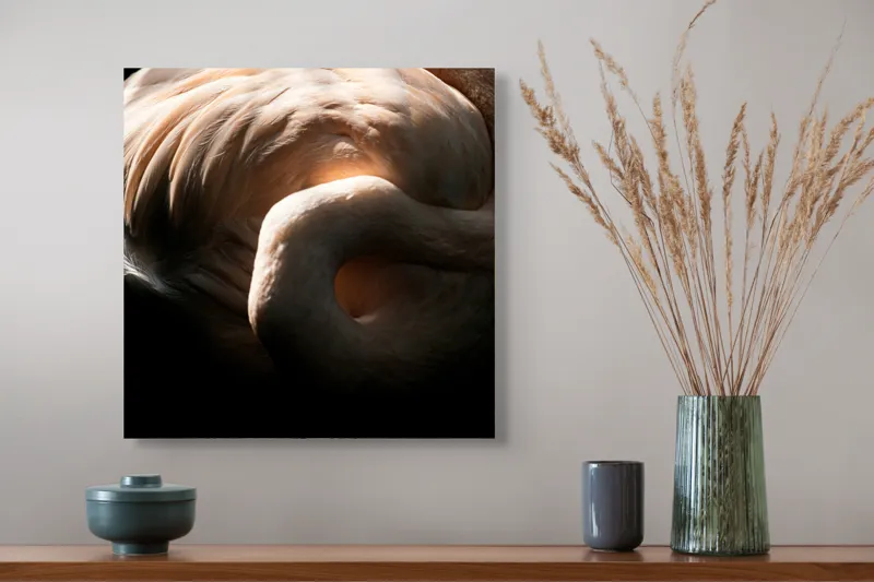 Tablou Canvas, "Flamingo în lumina blândă a soarelui", Flamingo, Eleganță, Lumină, Textură, Contrast, Încovoiat, Grație, Serenitate, 50 x 50 cm – poza 4