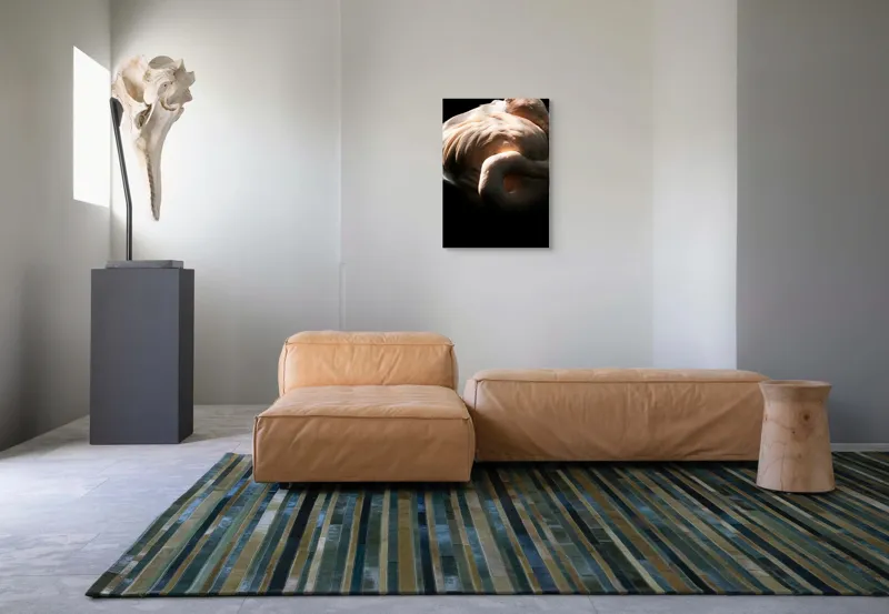 Tablou Canvas, "Flamingo în lumina blândă a soarelui", Flamingo, Eleganță, Lumină, Textură, Contrast, Încovoiat, Grație, Serenitate, 50 x 70 cm – poza 7