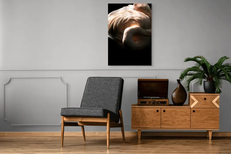 Tablou Canvas, "Flamingo în lumina blândă a soarelui", Flamingo, Eleganță, Lumină, Textură, Contrast, Încovoiat, Grație, Serenitate, 70 x 100 cm – poza 6