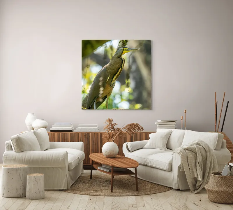 Tablou Canvas, "Pasărea contemplativă pe crengile verzi", Pasăre, Ramură, Pădure, Pană, Cioc, Frumusețe, Natură, Lumină, Verdeață, Serenitate, 100 x 100 cm – poza 3