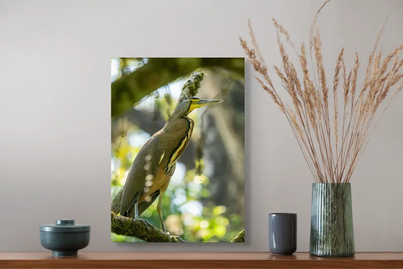 Tablou Canvas, "Pasărea contemplativă pe crengile verzi", Pasăre, Ramură, Pădure, Pană, Cioc, Frumusețe, Natură, Lumină, Verdeață, Serenitate, 39 x 54 cm – poza 3
