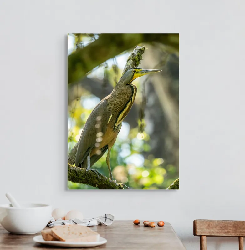 Tablou Canvas, "Pasărea contemplativă pe crengile verzi", Pasăre, Ramură, Pădure, Pană, Cioc, Frumusețe, Natură, Lumină, Verdeață, Serenitate, 50 x 70 cm – poza 3