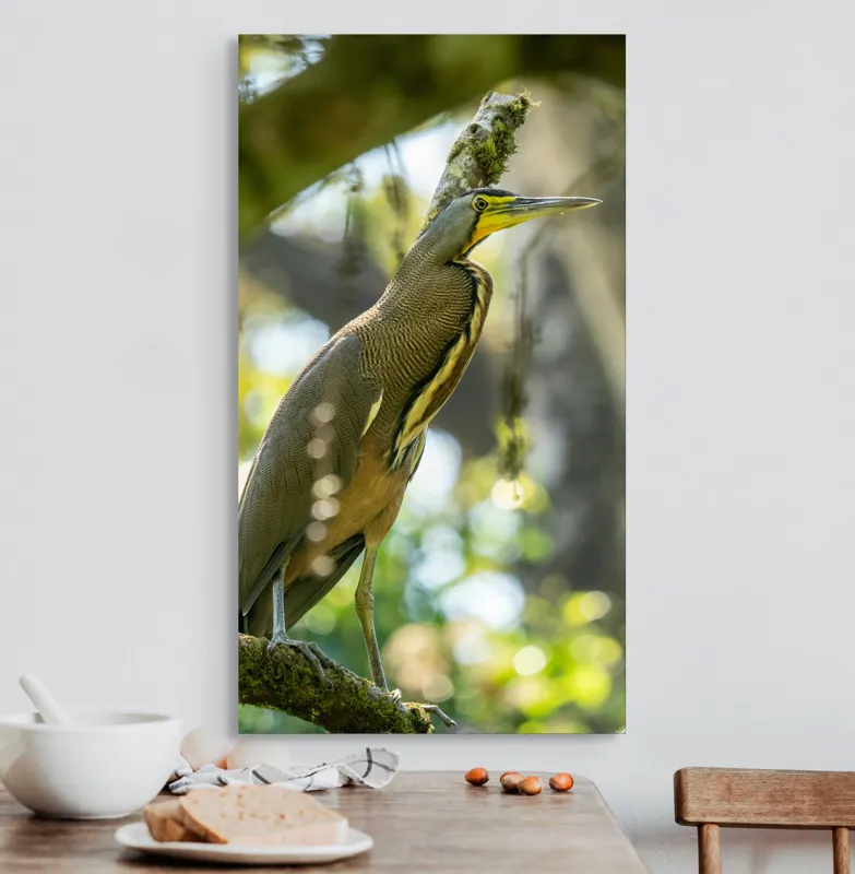 Tablou Canvas, "Pasărea contemplativă pe crengile verzi", Pasăre, Ramură, Pădure, Pană, Cioc, Frumusețe, Natură, Lumină, Verdeață, Serenitate, 50 x 90 cm – poza 3