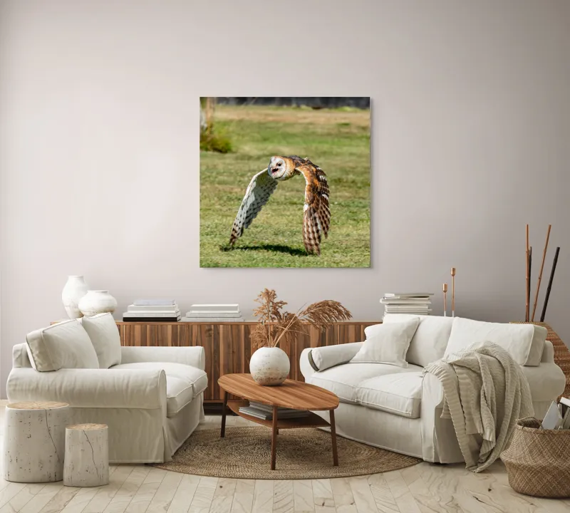 Tablou Canvas, "Bufnița în zbor deasupra pajiștii", Bufniță, Zbor, Pene, Iarbă, Viteză, Grație, Natură, Vânătoare, Eleganță, Libertate, 100 x 100 cm – poza 3