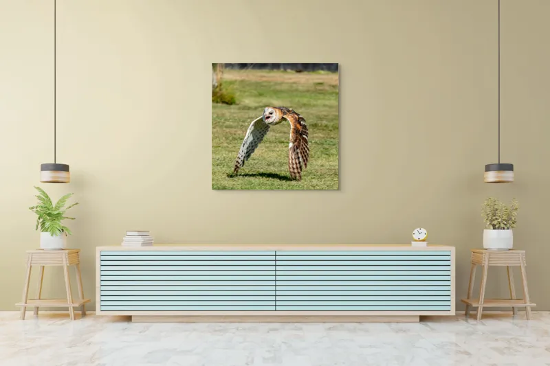 Tablou Canvas, "Bufnița în zbor deasupra pajiștii", Bufniță, Zbor, Pene, Iarbă, Viteză, Grație, Natură, Vânătoare, Eleganță, Libertate, 100 x 100 cm – poza 5
