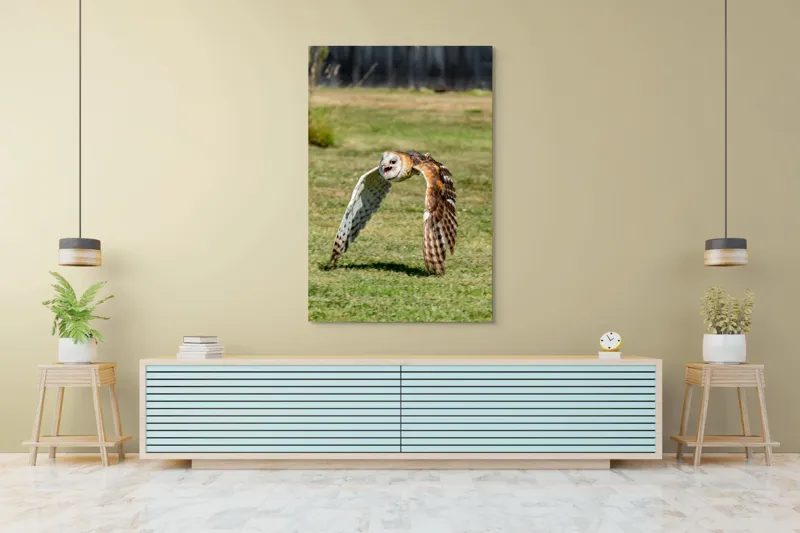 Tablou Canvas, "Bufnița în zbor deasupra pajiștii", Bufniță, Zbor, Pene, Iarbă, Viteză, Grație, Natură, Vânătoare, Eleganță, Libertate, 100 x 150 cm – poza 4