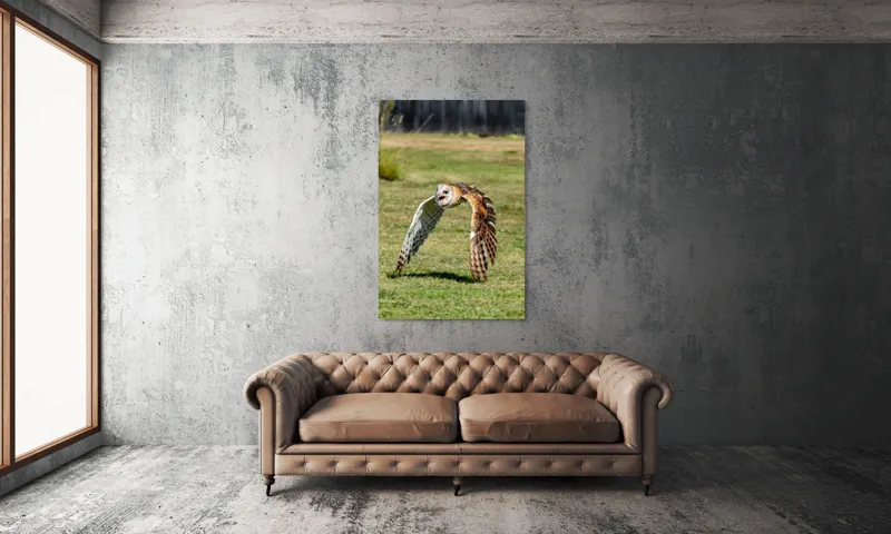 Tablou Canvas, "Bufnița în zbor deasupra pajiștii", Bufniță, Zbor, Pene, Iarbă, Viteză, Grație, Natură, Vânătoare, Eleganță, Libertate, 100 x 150 cm – poza 6