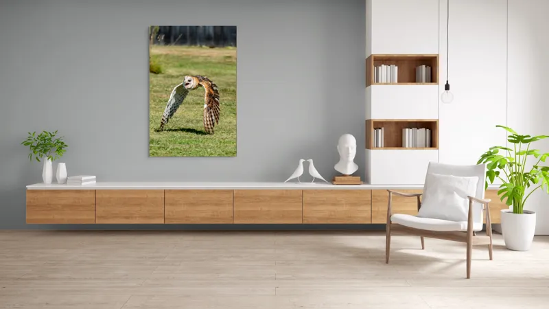 Tablou Canvas, "Bufnița în zbor deasupra pajiștii", Bufniță, Zbor, Pene, Iarbă, Viteză, Grație, Natură, Vânătoare, Eleganță, Libertate, 100 x 150 cm – poza 8