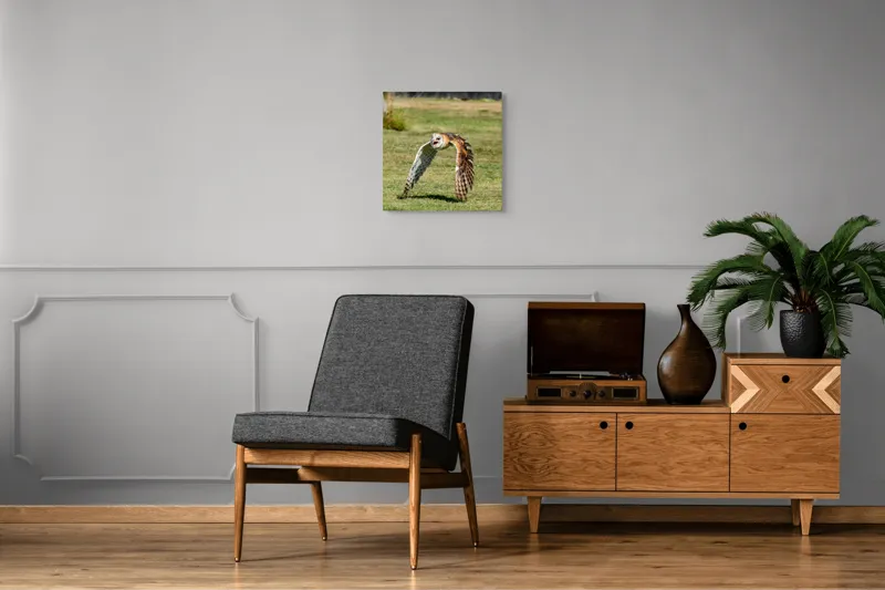 Tablou Canvas, "Bufnița în zbor deasupra pajiștii", Bufniță, Zbor, Pene, Iarbă, Viteză, Grație, Natură, Vânătoare, Eleganță, Libertate, 50 x 50 cm – poza 6
