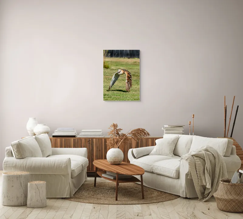 Tablou Canvas, "Bufnița în zbor deasupra pajiștii", Bufniță, Zbor, Pene, Iarbă, Viteză, Grație, Natură, Vânătoare, Eleganță, Libertate, 50 x 70 cm – poza 4