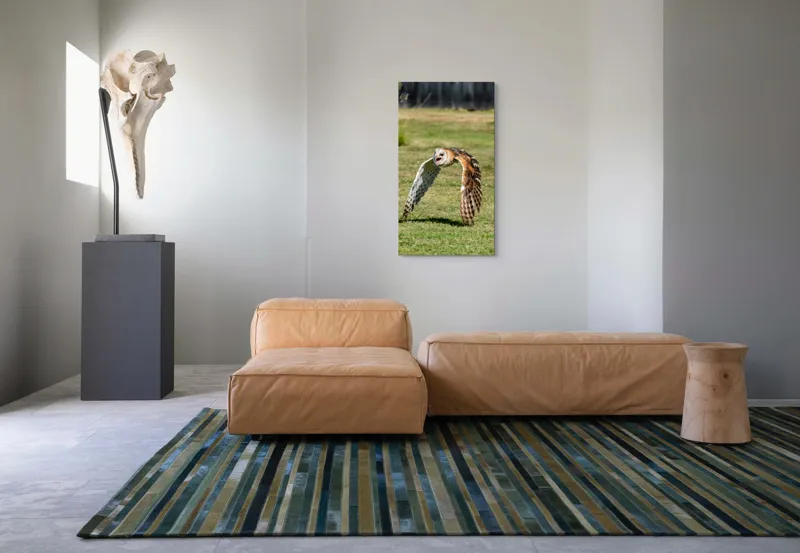 Tablou Canvas, "Bufnița în zbor deasupra pajiștii", Bufniță, Zbor, Pene, Iarbă, Viteză, Grație, Natură, Vânătoare, Eleganță, Libertate, 50 x 90 cm – poza 5