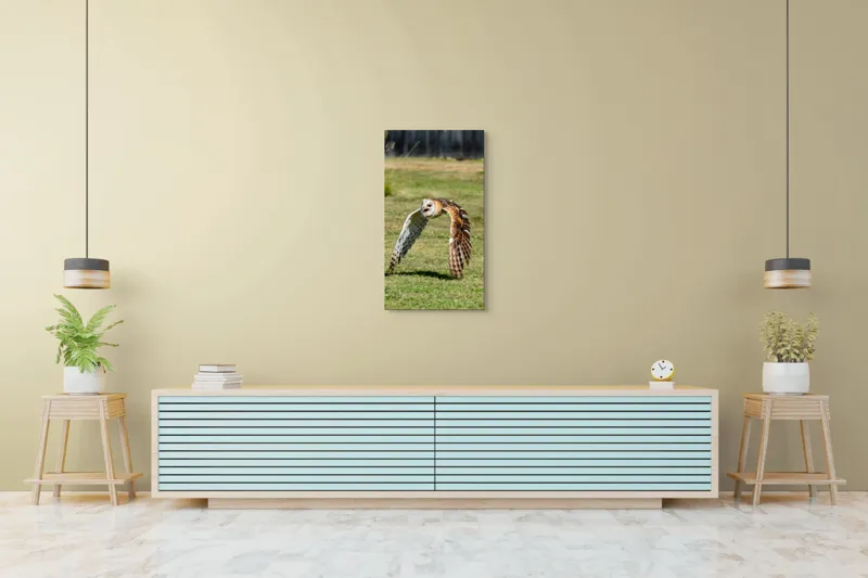 Tablou Canvas, "Bufnița în zbor deasupra pajiștii", Bufniță, Zbor, Pene, Iarbă, Viteză, Grație, Natură, Vânătoare, Eleganță, Libertate, 50 x 90 cm – poza 6