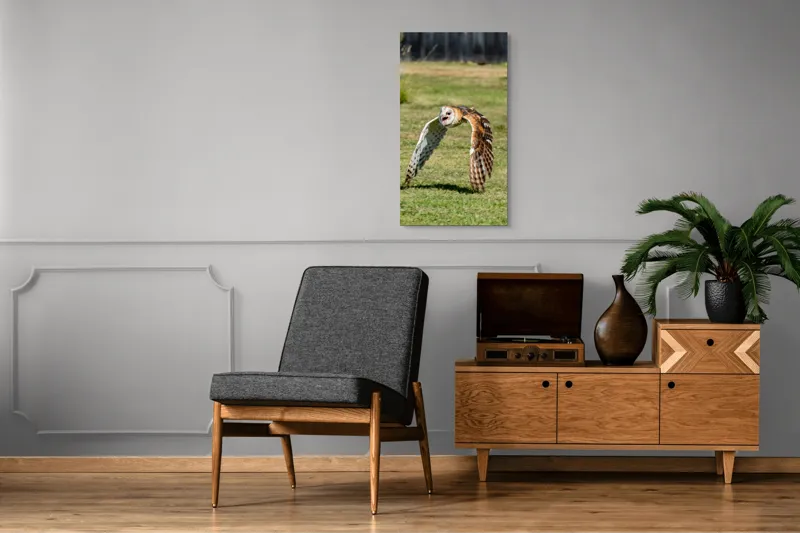 Tablou Canvas, "Bufnița în zbor deasupra pajiștii", Bufniță, Zbor, Pene, Iarbă, Viteză, Grație, Natură, Vânătoare, Eleganță, Libertate, 50 x 90 cm – poza 8