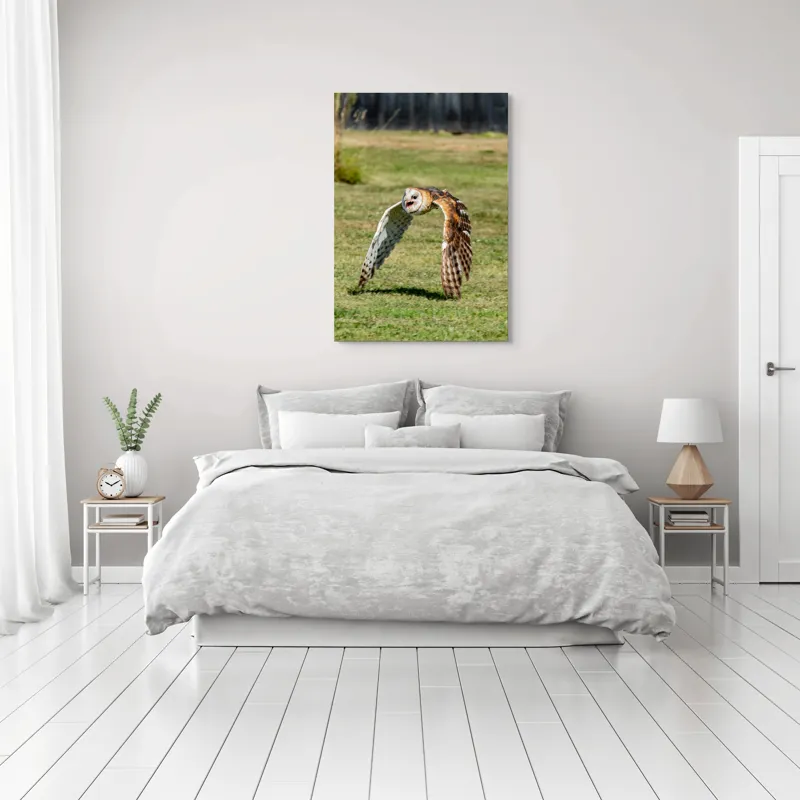 Tablou Canvas, "Bufnița în zbor deasupra pajiștii", Bufniță, Zbor, Pene, Iarbă, Viteză, Grație, Natură, Vânătoare, Eleganță, Libertate, 70 x 100 cm – poza 3