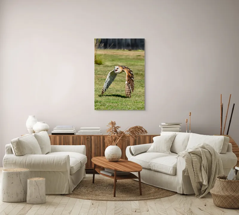 Tablou Canvas, "Bufnița în zbor deasupra pajiștii", Bufniță, Zbor, Pene, Iarbă, Viteză, Grație, Natură, Vânătoare, Eleganță, Libertate, 70 x 100 cm – poza 4