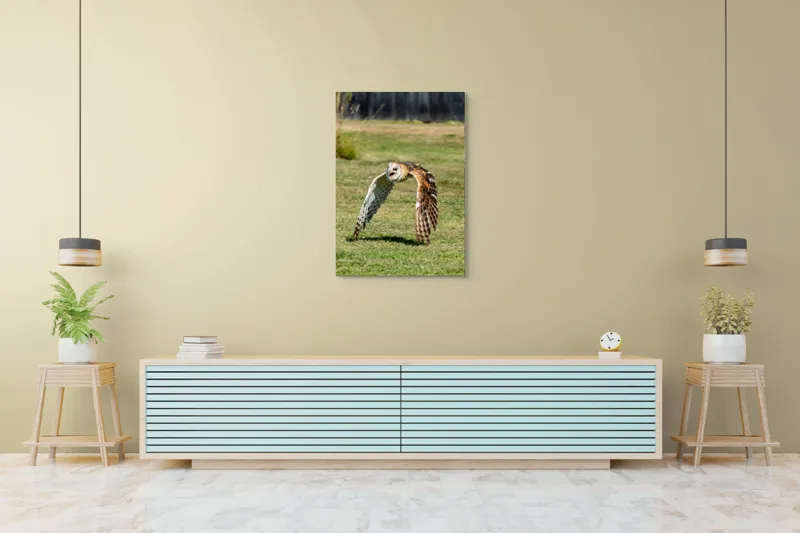 Tablou Canvas, "Bufnița în zbor deasupra pajiștii", Bufniță, Zbor, Pene, Iarbă, Viteză, Grație, Natură, Vânătoare, Eleganță, Libertate, 70 x 100 cm – poza 5