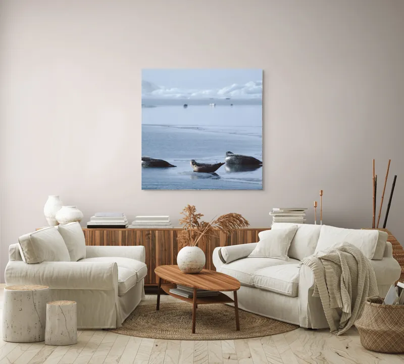 Tablou Canvas, "Foci odihnindu-se pe gheață albastră", Focă, Gheață, Ocean, Cer, Liniște, Natură, Relaxare, Albastru, Frig, Întindere, 100 x 100 cm – poza 3