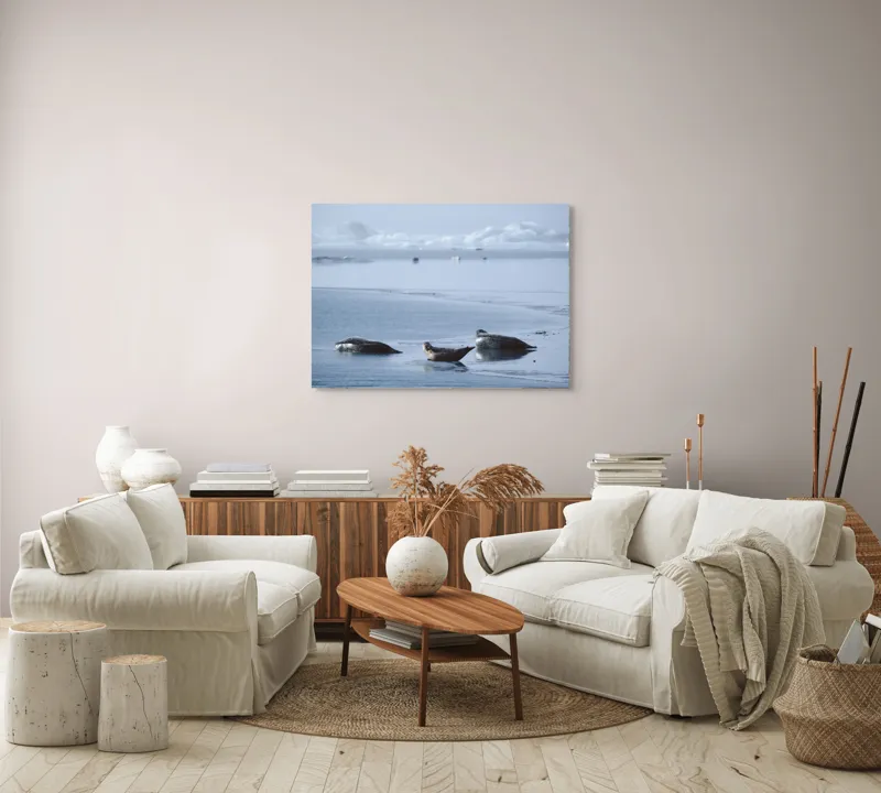 Tablou Canvas, "Foci odihnindu-se pe gheață albastră", Focă, Gheață, Ocean, Cer, Liniște, Natură, Relaxare, Albastru, Frig, Întindere, 100 x 70 cm – poza 3