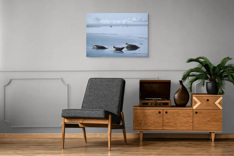 Tablou Canvas, "Foci odihnindu-se pe gheață albastră", Focă, Gheață, Ocean, Cer, Liniște, Natură, Relaxare, Albastru, Frig, Întindere, 100 x 70 cm – poza 8