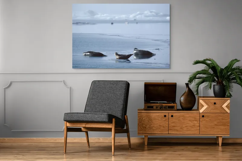 Tablou Canvas, "Foci odihnindu-se pe gheață albastră", Focă, Gheață, Ocean, Cer, Liniște, Natură, Relaxare, Albastru, Frig, Întindere, 150 x 100 cm – poza 8