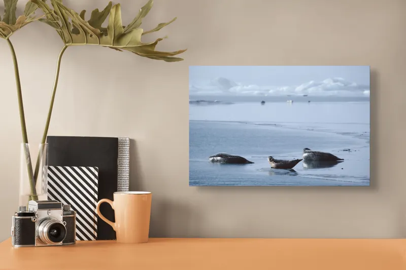 Tablou Canvas, "Foci odihnindu-se pe gheață albastră", Focă, Gheață, Ocean, Cer, Liniște, Natură, Relaxare, Albastru, Frig, Întindere, 39 x 26 cm – poza 3
