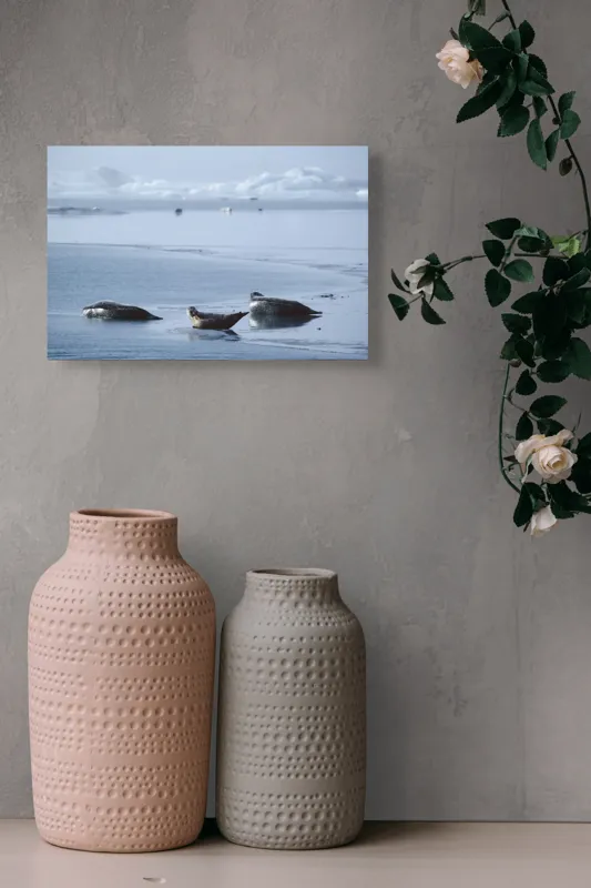 Tablou Canvas, "Foci odihnindu-se pe gheață albastră", Focă, Gheață, Ocean, Cer, Liniște, Natură, Relaxare, Albastru, Frig, Întindere, 39 x 26 cm – poza 4
