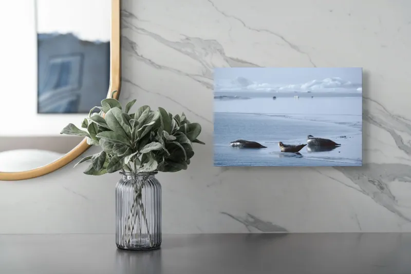 Tablou Canvas, "Foci odihnindu-se pe gheață albastră", Focă, Gheață, Ocean, Cer, Liniște, Natură, Relaxare, Albastru, Frig, Întindere, 39 x 26 cm – poza 5