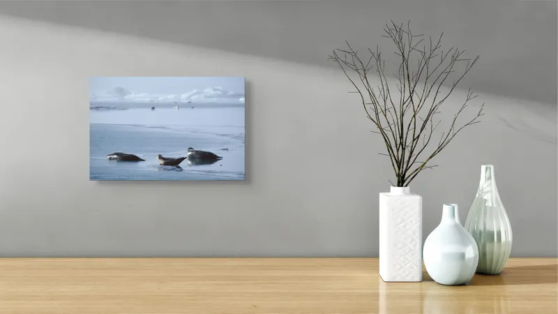 Tablou Canvas, "Foci odihnindu-se pe gheață albastră", Focă, Gheață, Ocean, Cer, Liniște, Natură, Relaxare, Albastru, Frig, Întindere, 39 x 26 cm – poza 8