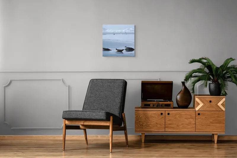 Tablou Canvas, "Foci odihnindu-se pe gheață albastră", Focă, Gheață, Ocean, Cer, Liniște, Natură, Relaxare, Albastru, Frig, Întindere, 50 x 50 cm – poza 6
