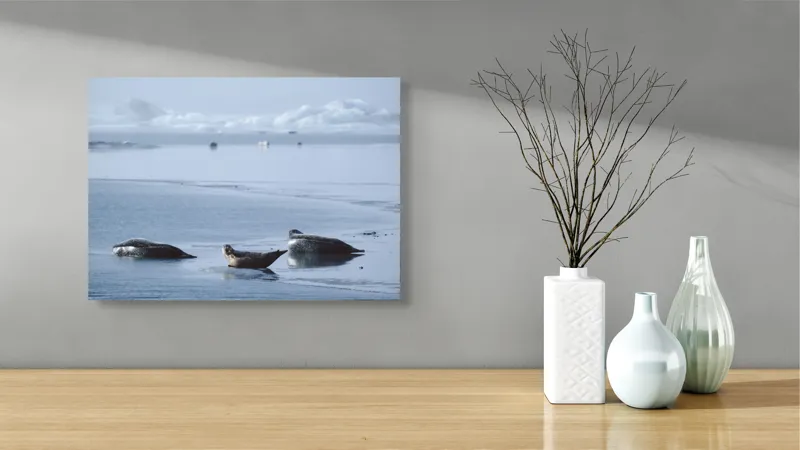 Tablou Canvas, "Foci odihnindu-se pe gheață albastră", Focă, Gheață, Ocean, Cer, Liniște, Natură, Relaxare, Albastru, Frig, Întindere, 54 x 39 cm – poza 3