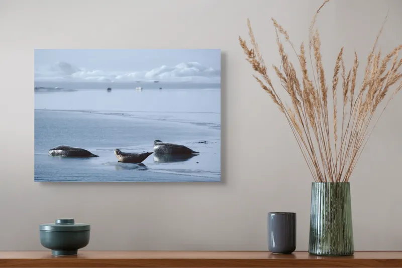 Tablou Canvas, "Foci odihnindu-se pe gheață albastră", Focă, Gheață, Ocean, Cer, Liniște, Natură, Relaxare, Albastru, Frig, Întindere, 54 x 39 cm – poza 4