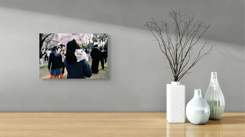 Tablou Canvas, "Micuța pisică și agitația urbană", Pisoi, Fluffy, Albastru, Privire, Parcuri, Primăvară, Agitație, Copac, Haine, Mână, Peisaj, Persoane., 39 x 26 cm – poza 8