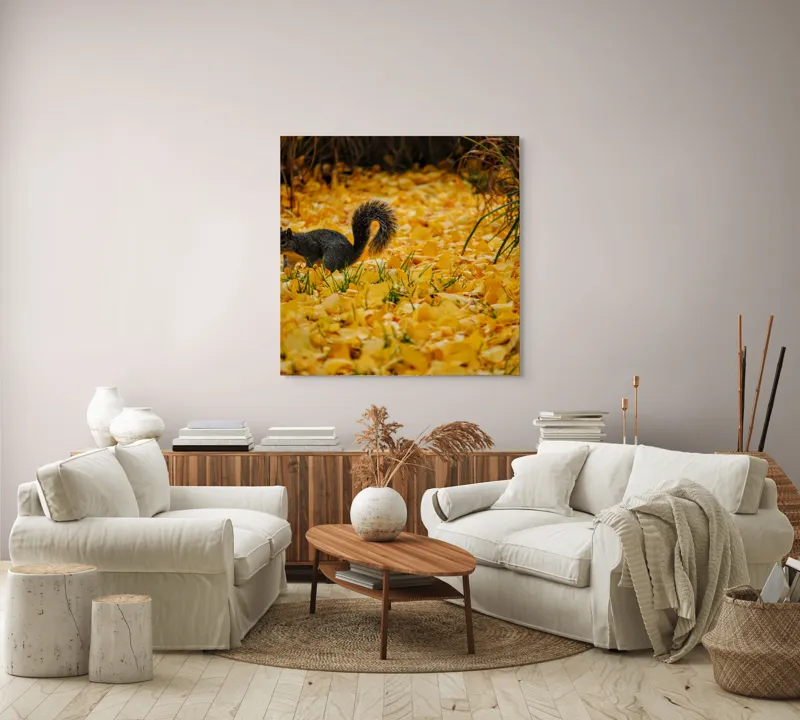 Tablou Canvas, "Veveriță printre frunze galbene de toamnă", Frunze, Galben, Veveriță, Pământ, Toamnă, Natură, Verde, Iarbă, 100 x 100 cm – poza 3