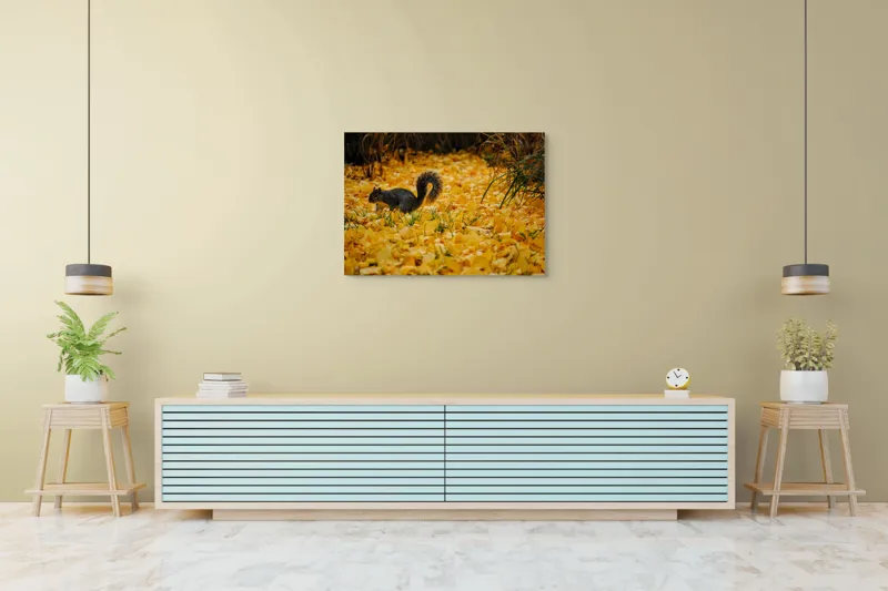 Tablou Canvas, "Veveriță printre frunze galbene de toamnă", Frunze, Galben, Veveriță, Pământ, Toamnă, Natură, Verde, Iarbă, 100 x 70 cm – poza 4