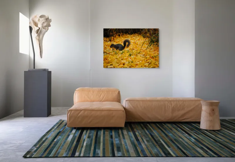 Tablou Canvas, "Veveriță printre frunze galbene de toamnă", Frunze, Galben, Veveriță, Pământ, Toamnă, Natură, Verde, Iarbă, 100 x 70 cm – poza 7