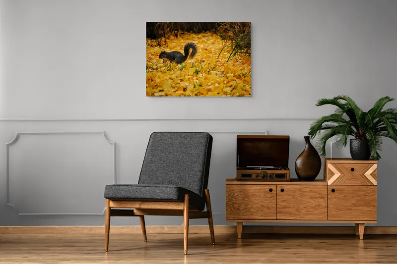 Tablou Canvas, "Veveriță printre frunze galbene de toamnă", Frunze, Galben, Veveriță, Pământ, Toamnă, Natură, Verde, Iarbă, 100 x 70 cm – poza 8