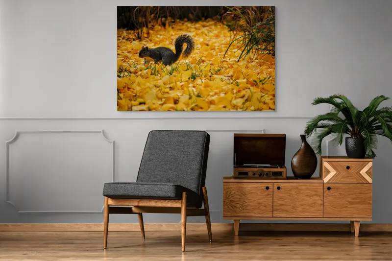 Tablou Canvas, "Veveriță printre frunze galbene de toamnă", Frunze, Galben, Veveriță, Pământ, Toamnă, Natură, Verde, Iarbă, 150 x 100 cm – poza 8
