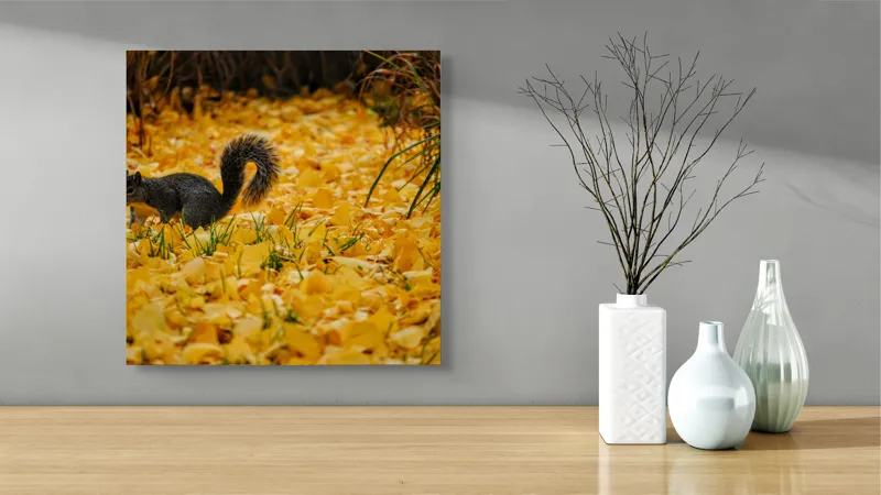 Tablou Canvas, "Veveriță printre frunze galbene de toamnă", Frunze, Galben, Veveriță, Pământ, Toamnă, Natură, Verde, Iarbă, 50 x 50 cm – poza 3
