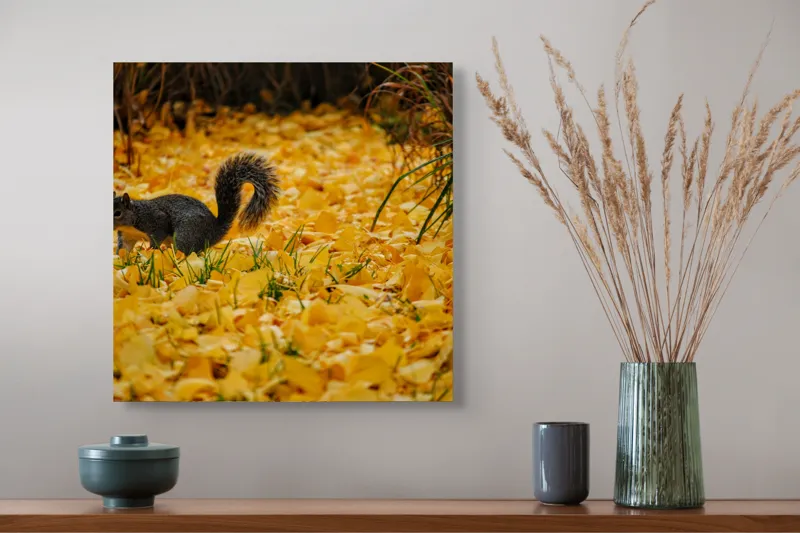 Tablou Canvas, "Veveriță printre frunze galbene de toamnă", Frunze, Galben, Veveriță, Pământ, Toamnă, Natură, Verde, Iarbă, 50 x 50 cm – poza 4