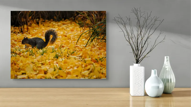 Tablou Canvas, "Veveriță printre frunze galbene de toamnă", Frunze, Galben, Veveriță, Pământ, Toamnă, Natură, Verde, Iarbă, 70 x 50 cm – poza 3