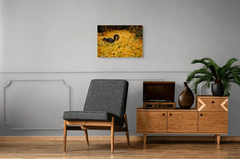 Tablou Canvas, "Veveriță printre frunze galbene de toamnă", Frunze, Galben, Veveriță, Pământ, Toamnă, Natură, Verde, Iarbă, 70 x 50 cm – poza 4