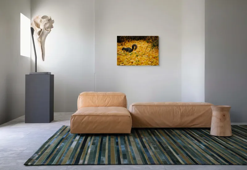 Tablou Canvas, "Veveriță printre frunze galbene de toamnă", Frunze, Galben, Veveriță, Pământ, Toamnă, Natură, Verde, Iarbă, 70 x 50 cm – poza 8