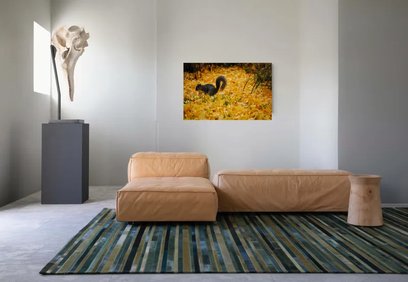 Tablou Canvas, "Veveriță printre frunze galbene de toamnă", Frunze, Galben, Veveriță, Pământ, Toamnă, Natură, Verde, Iarbă, 90 x 50 cm – poza 8