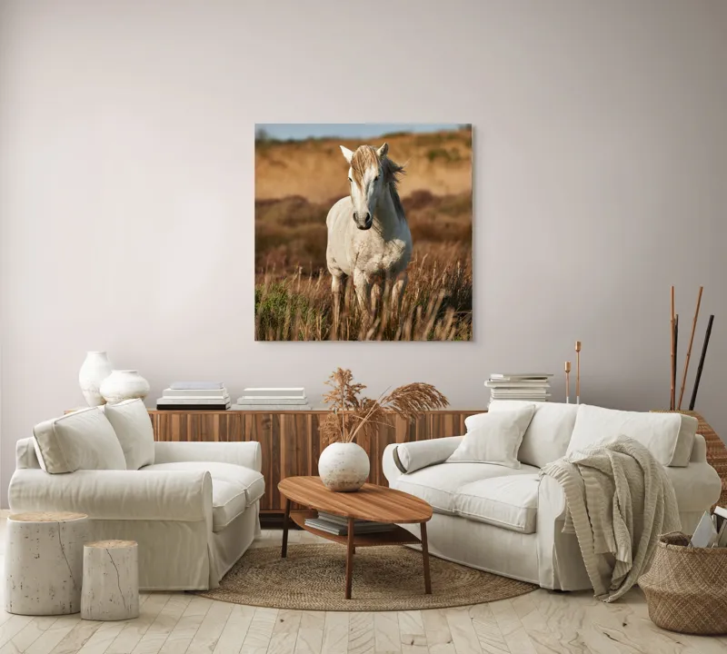 Tablou Canvas, "Un cal alb în sălbăticie", Alb, Cal, Iarbă, Natura, Cer, Dealuri, Liniște, Peisaj, Eleganță, Libertate, 100 x 100 cm – poza 3
