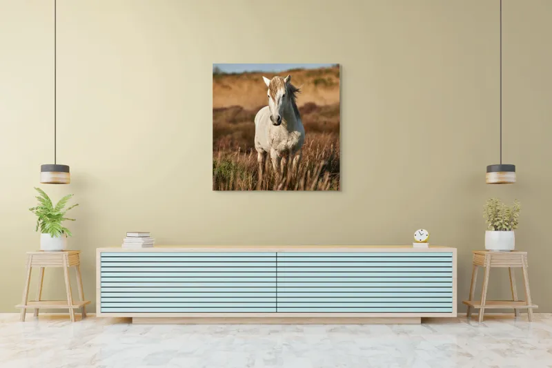 Tablou Canvas, "Un cal alb în sălbăticie", Alb, Cal, Iarbă, Natura, Cer, Dealuri, Liniște, Peisaj, Eleganță, Libertate, 100 x 100 cm – poza 5