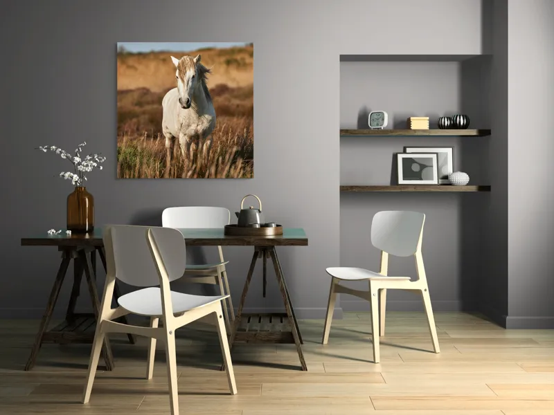 Tablou Canvas, "Un cal alb în sălbăticie", Alb, Cal, Iarbă, Natura, Cer, Dealuri, Liniște, Peisaj, Eleganță, Libertate, 100 x 100 cm – poza 6