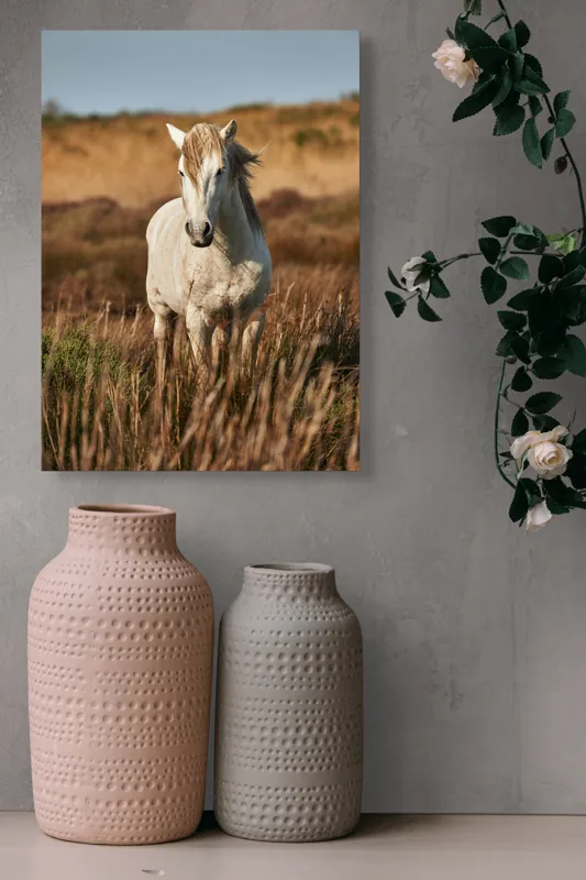 Tablou Canvas, "Un cal alb în sălbăticie", Alb, Cal, Iarbă, Natura, Cer, Dealuri, Liniște, Peisaj, Eleganță, Libertate, 39 x 54 cm – poza 6