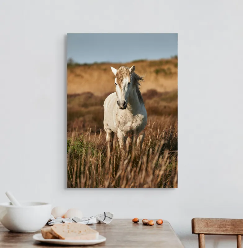 Tablou Canvas, "Un cal alb în sălbăticie", Alb, Cal, Iarbă, Natura, Cer, Dealuri, Liniște, Peisaj, Eleganță, Libertate, 50 x 70 cm – poza 3